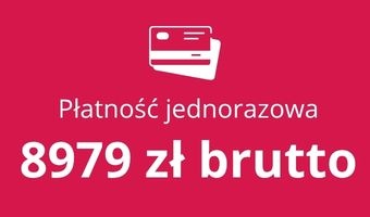 Udział w Programie Mentoringowym 2026